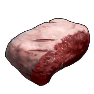 Сырое мясо большой кошки